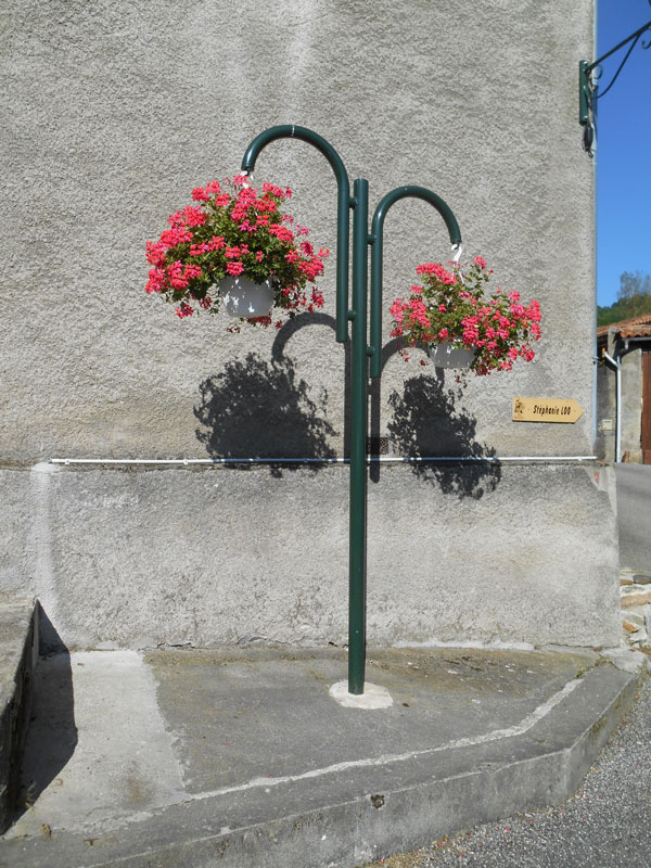 Potofloral 4
